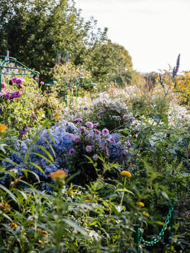 Claude Monet's garden in Giverny, France with lush greenery and blooming flowers.