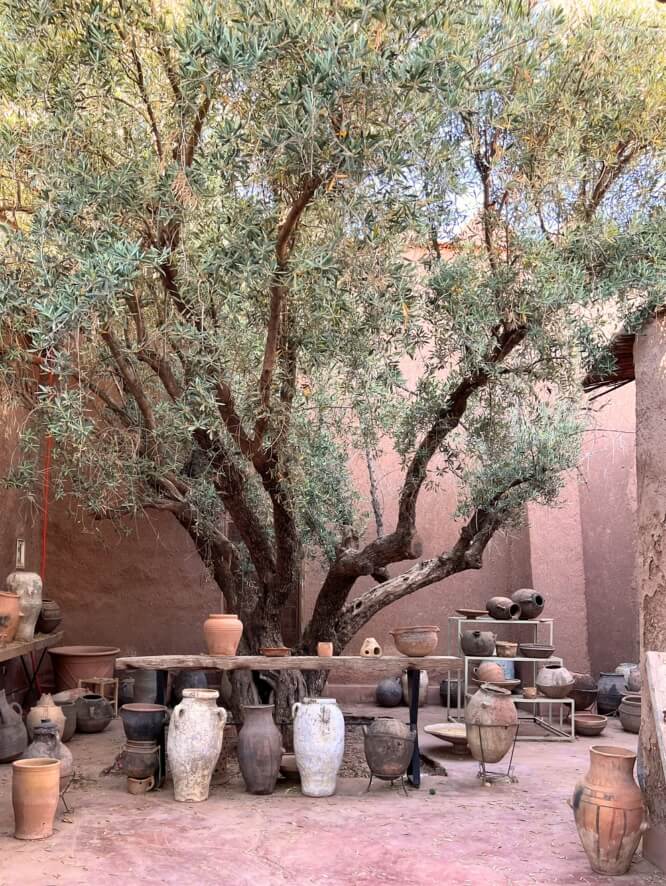 Pink clay walls enclose an olive tree, surrounded by decorative pottery.