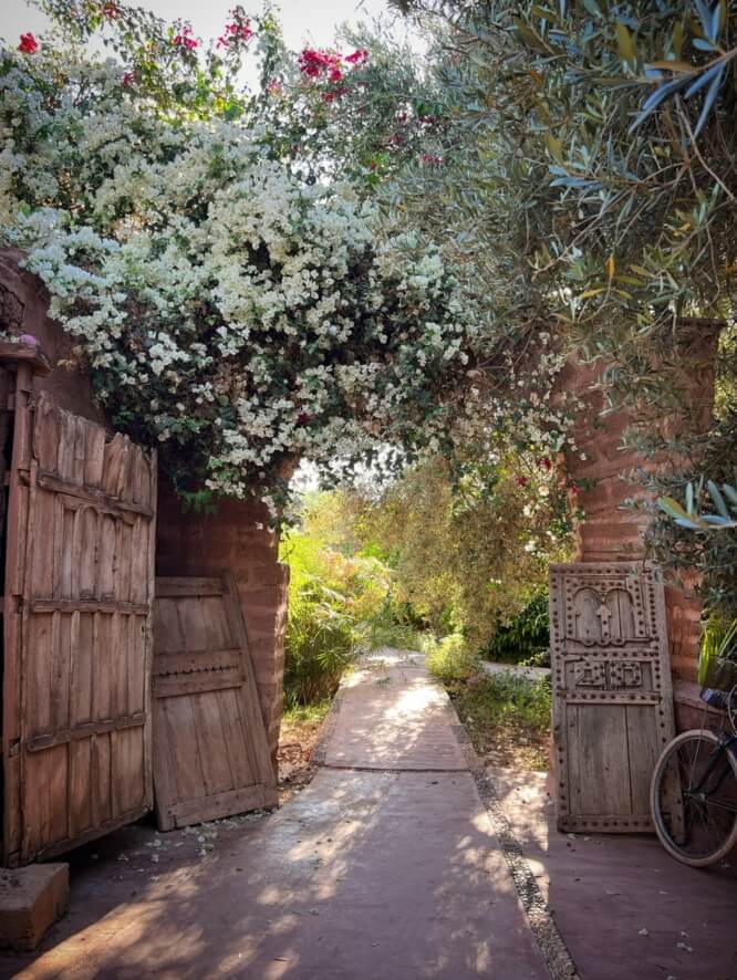 Flowering trees with blossoms hanging over a garden path.
