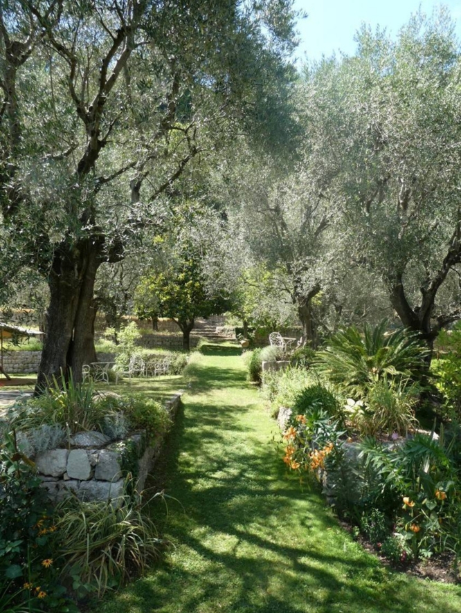 Mouissone Riviera garden with stone walls, olive groves, and shaded seating areas.