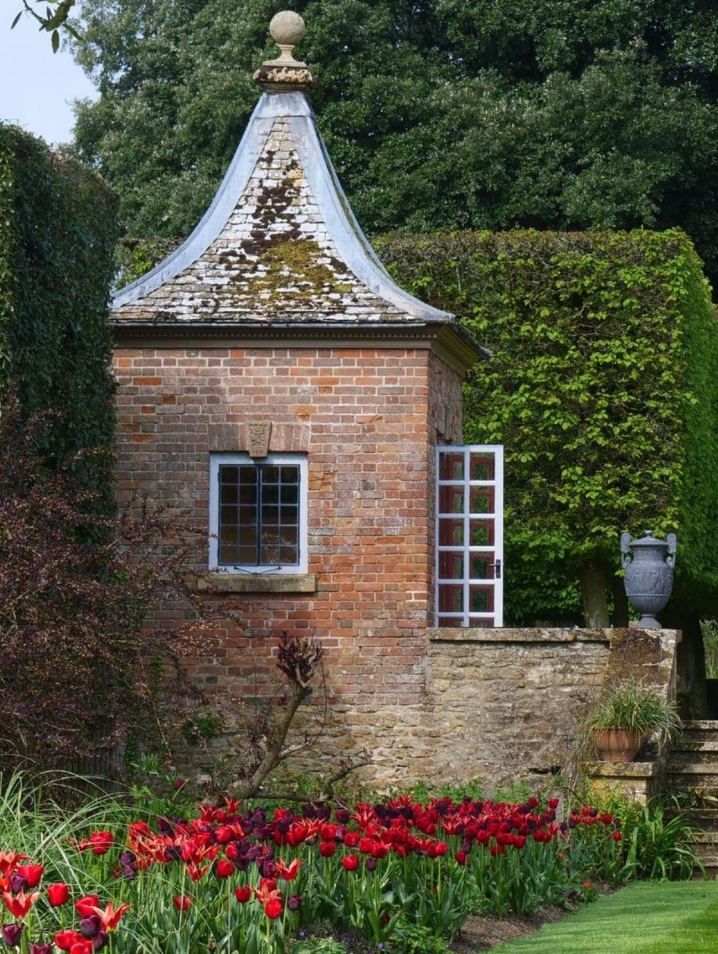 Red tulips bordering a garden path with a small shed and hedges.