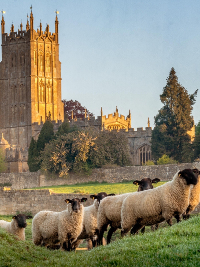 Sheep on a grassy knoll with a church and stone walls in the background.