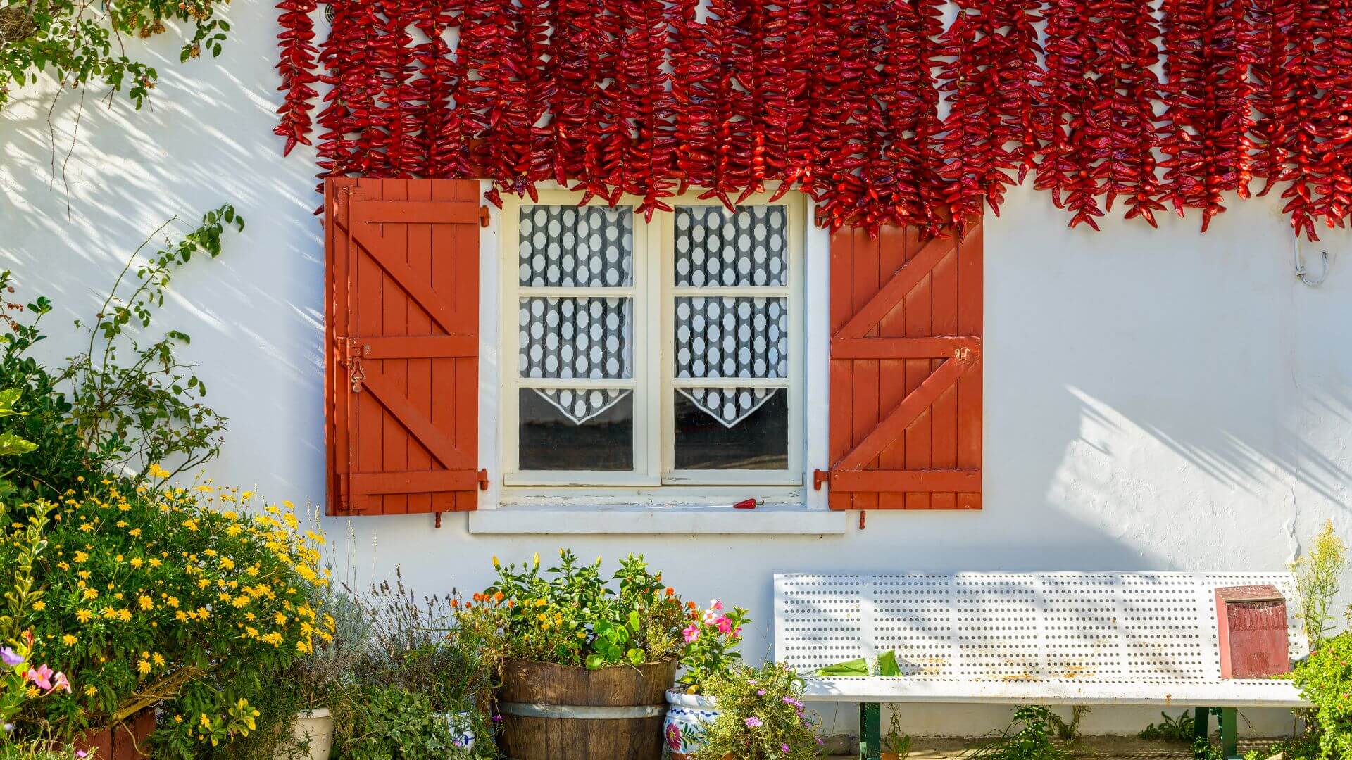 A white village home in Espelette with drying red chillies hanging above open orange shutters, a bench, and a wildflower garden.