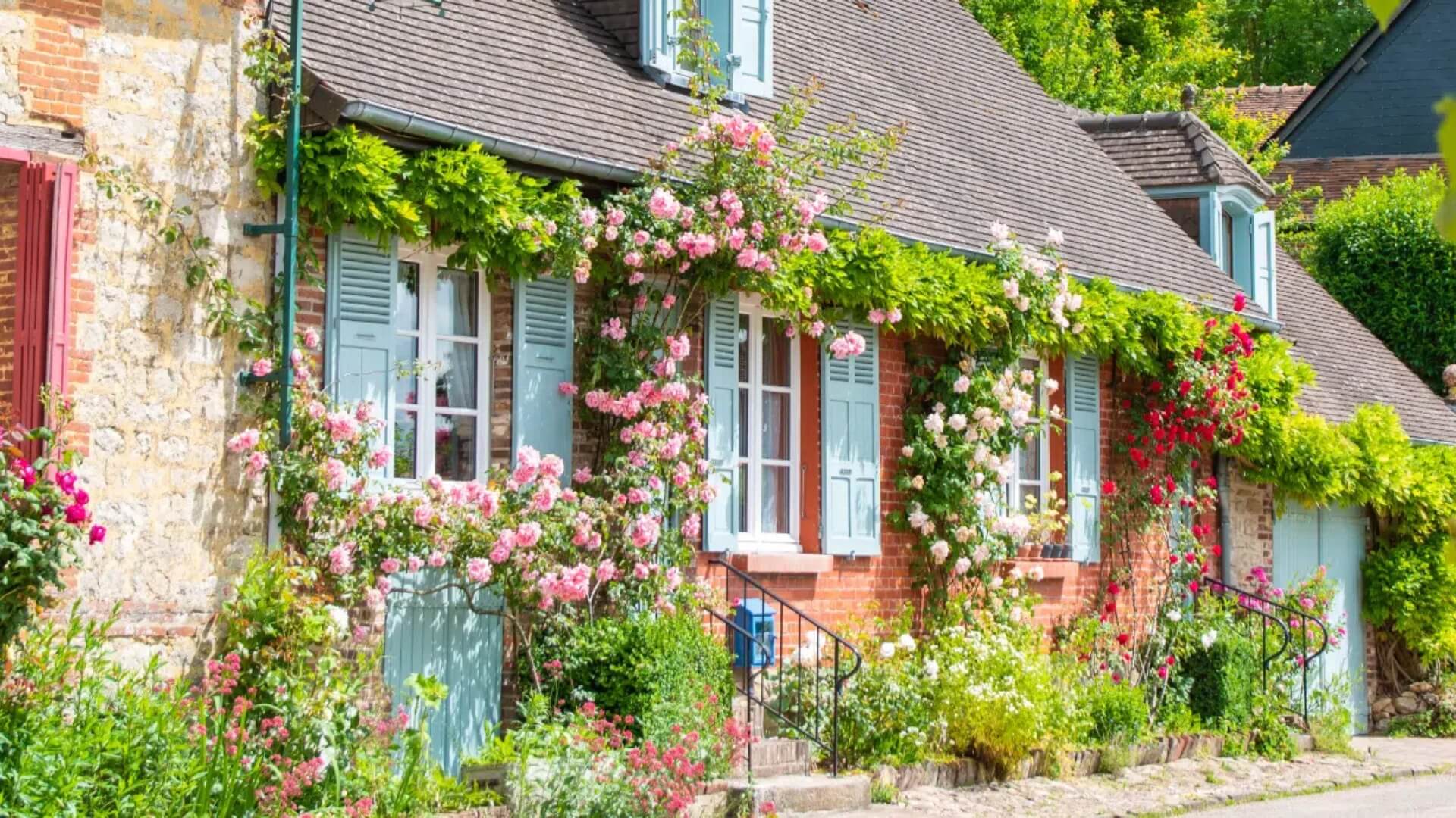 A village home in Gerberoy, adorned with climbing pink and red roses, and lined with baby blue shutters.