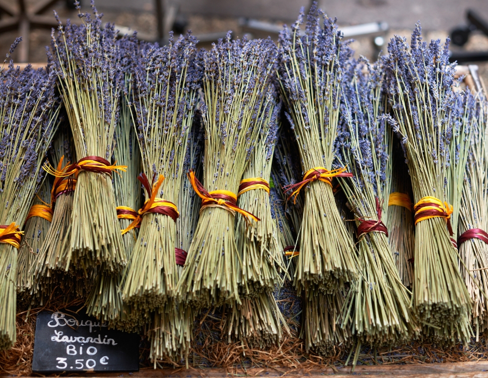 Bunches of Provençal lavender tied with gold and maroon ribbons at a Provençal market table.