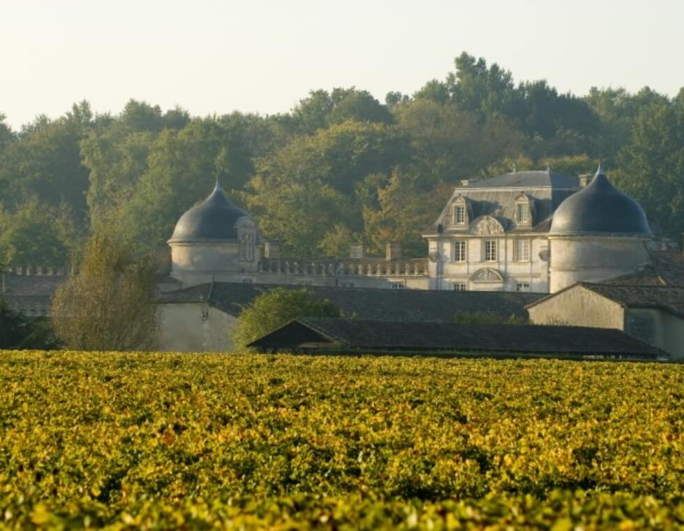 Château de Malle in Bordeaux, France, surrounded by lush vineyards and natural forest.