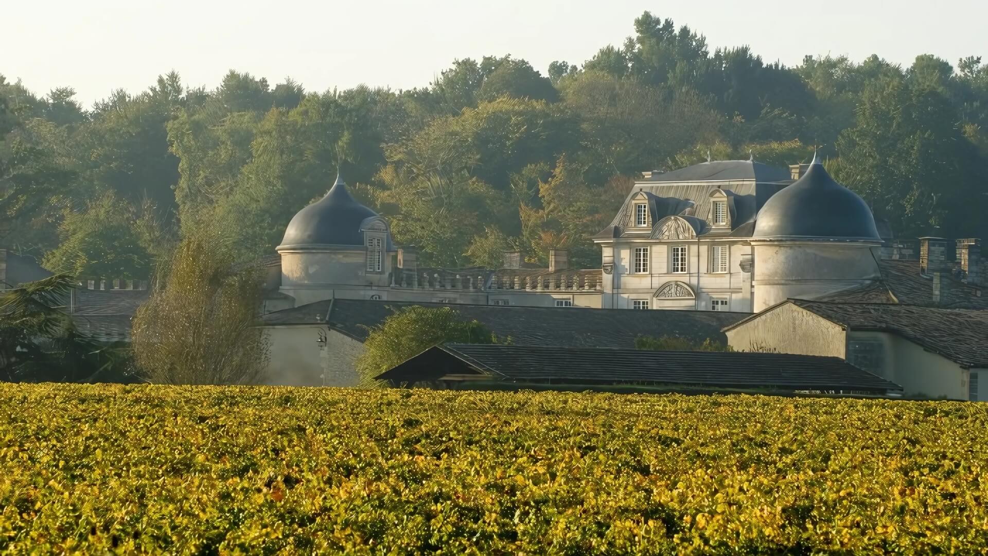 Panoramic views of Malle vineyard and estate near Bordeaux, France.