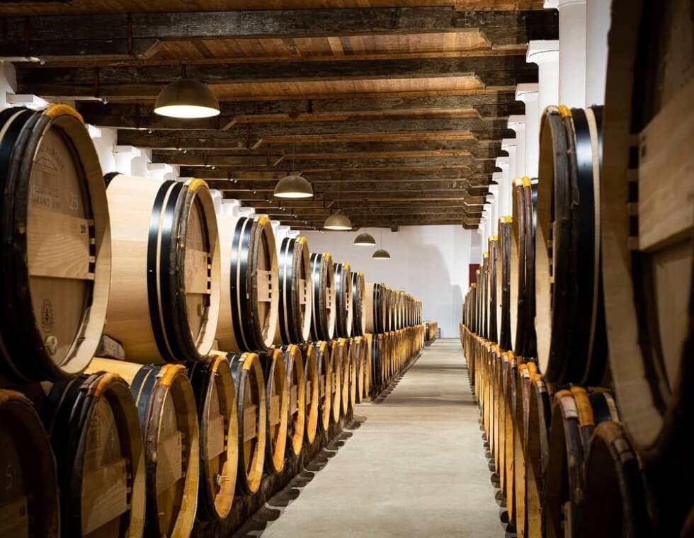 Wine barrels in the Château Margaux cellar, beneath elegant exposed beams and white walls.