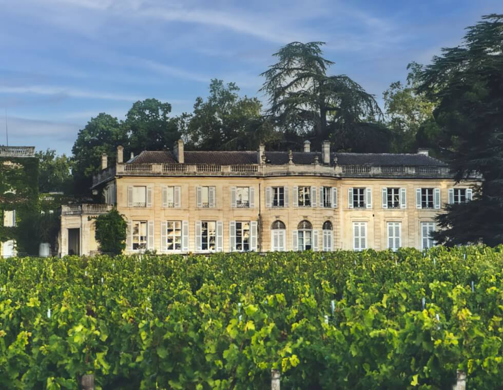 Château du Taillan vineyard in the Médoc region of France, with lush vines and a historic estate.