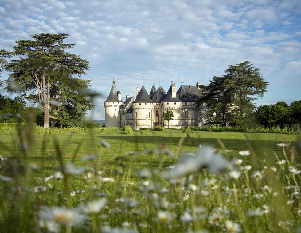 Chaumont Castle in Chaumont-sur-Loire, France, surrounded by lush estate grounds and greenery in autumn.