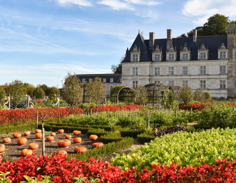 Garden of Villandry Castle in France featuring vibrant vegetables and squash ready for harvest.