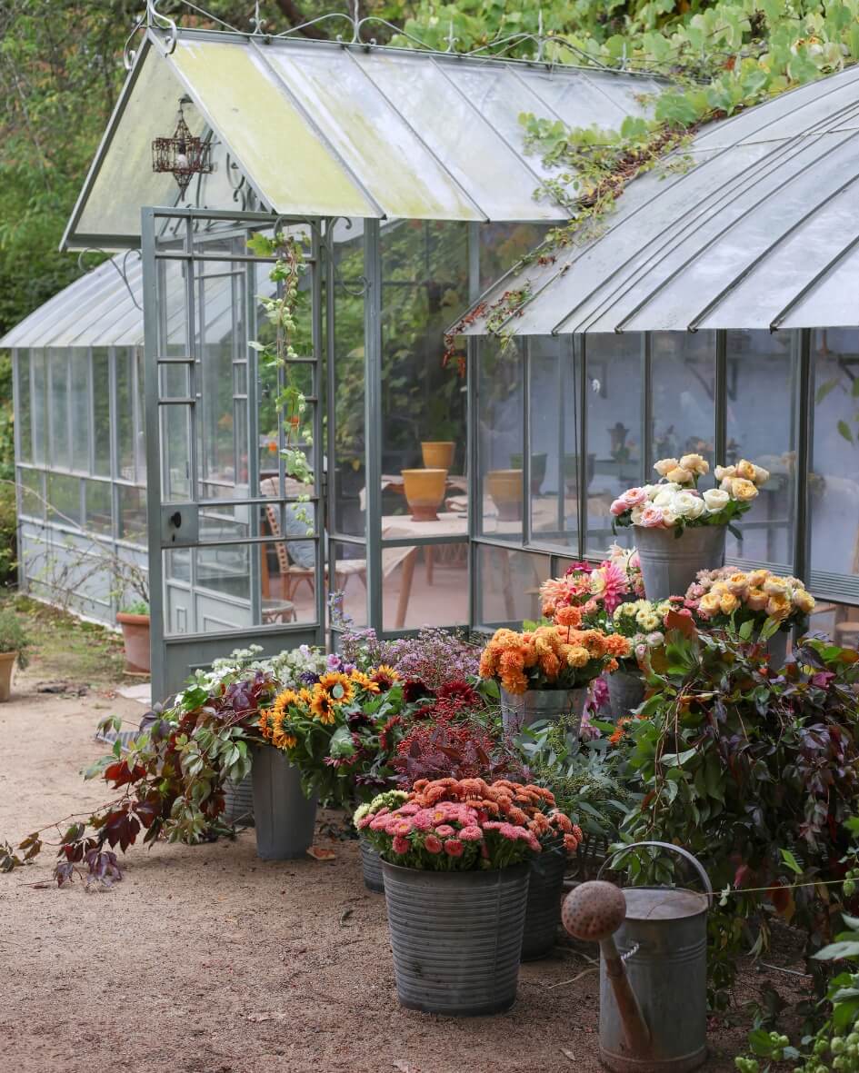Glass greenhouse surrounded by freshly cut flowers, styled for floral photography and flower arrangement inspiration.