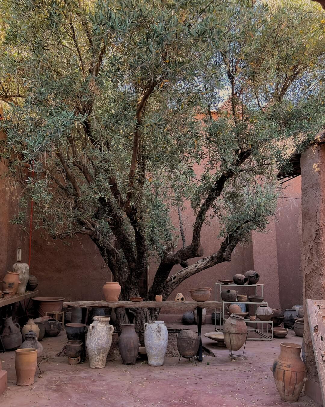 Artisanal clay pots arranged in an atelier courtyard with an olive tree in Morocco.