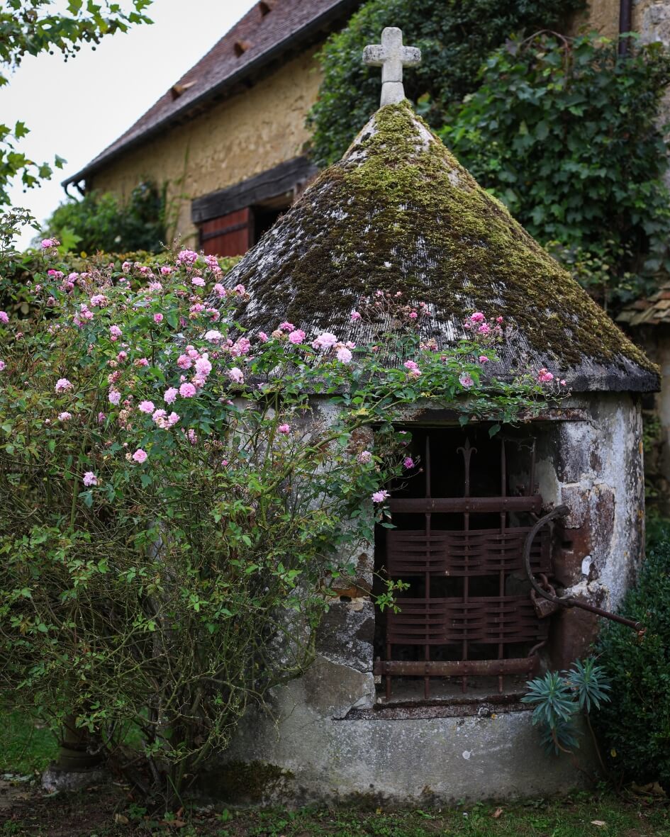 Historic stone garden hutch framed by blooming pink roses.