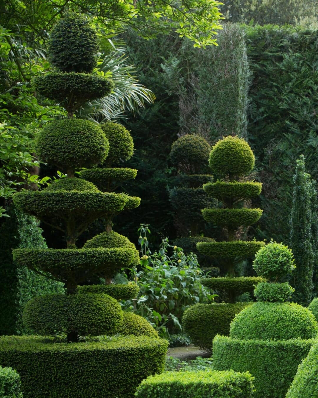 La Ballue Topiary garden in Brittany, France with lush manicured hedges and palms.