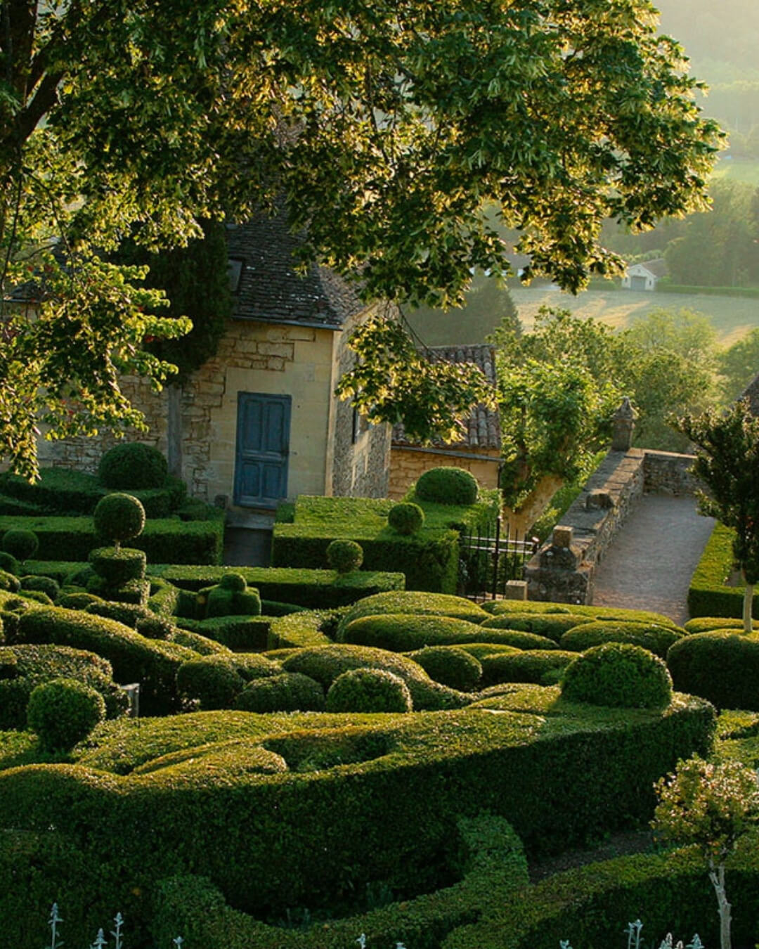 The Marqueyssac topiary gardens in Dordogne, France with labyrinth manicured hedges and trees at sunset.