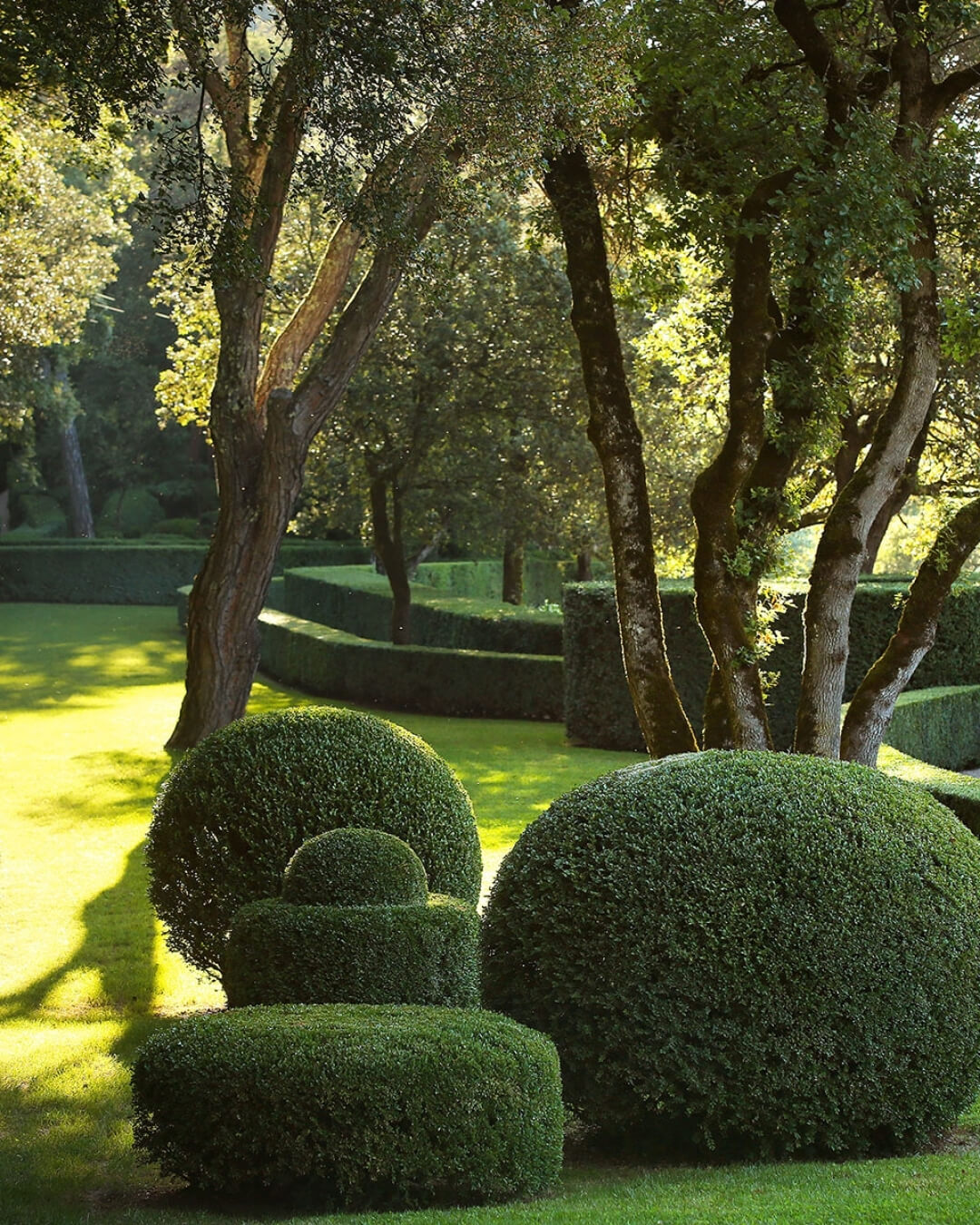 The Marqueyssac topiary gardens in Dordogne, France, with rounded, manicured hedges and lush grass.