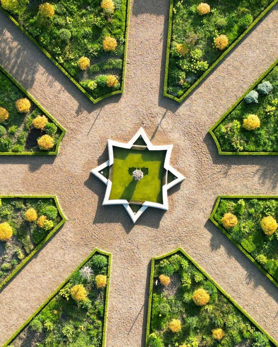 Geometric topiary garden in Villandry, France with yellow flowers, manicured hedges, and clear walking paths.