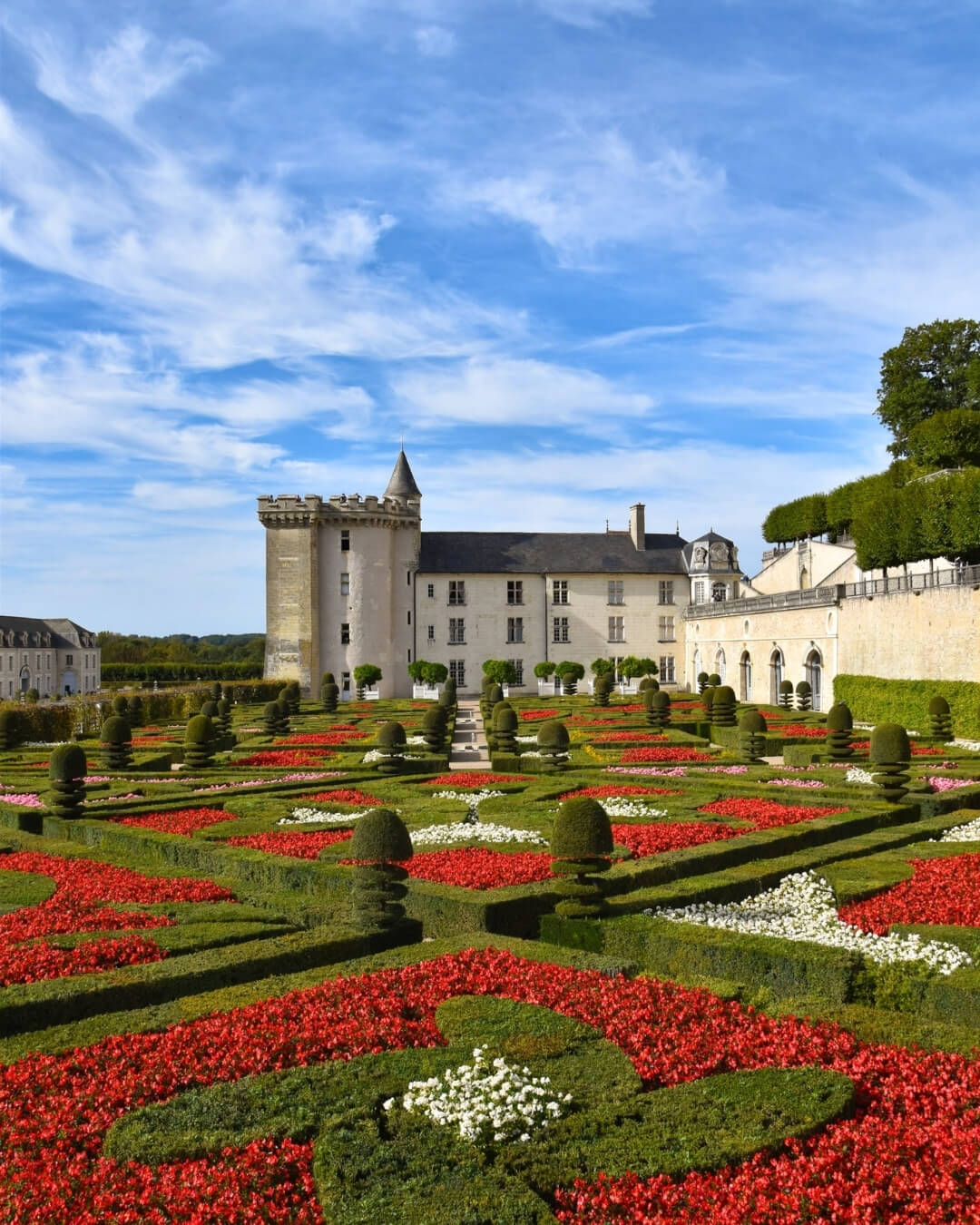 Lush red and green topiary garden in Villandry, France with ornate manicured hedges beside a historic estate.