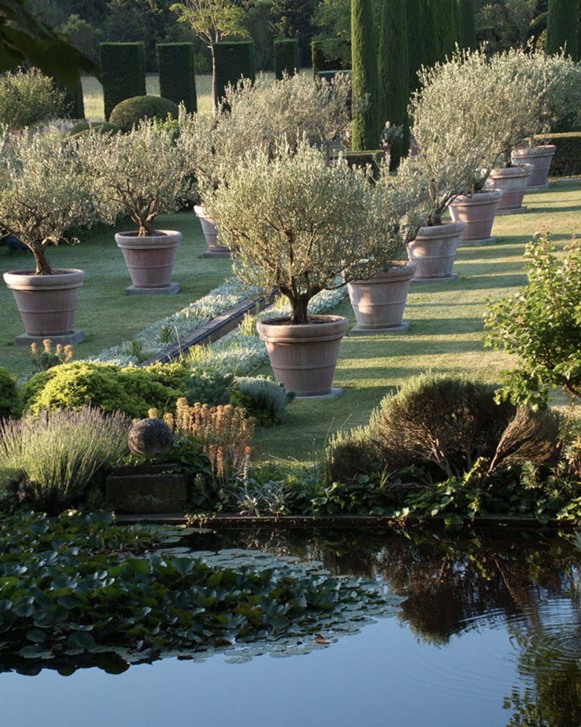 Grounds of the Confines luxury villa in Provence, featuring potted olive trees on lush grass beside a tranquil garden pond.