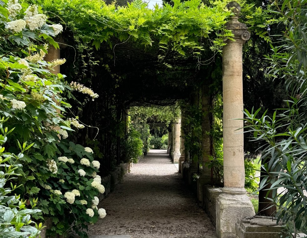 Shaded garden path in Provence lined with historic Ionic pillars, white hydrangea bushes, and dense greenery overhead.