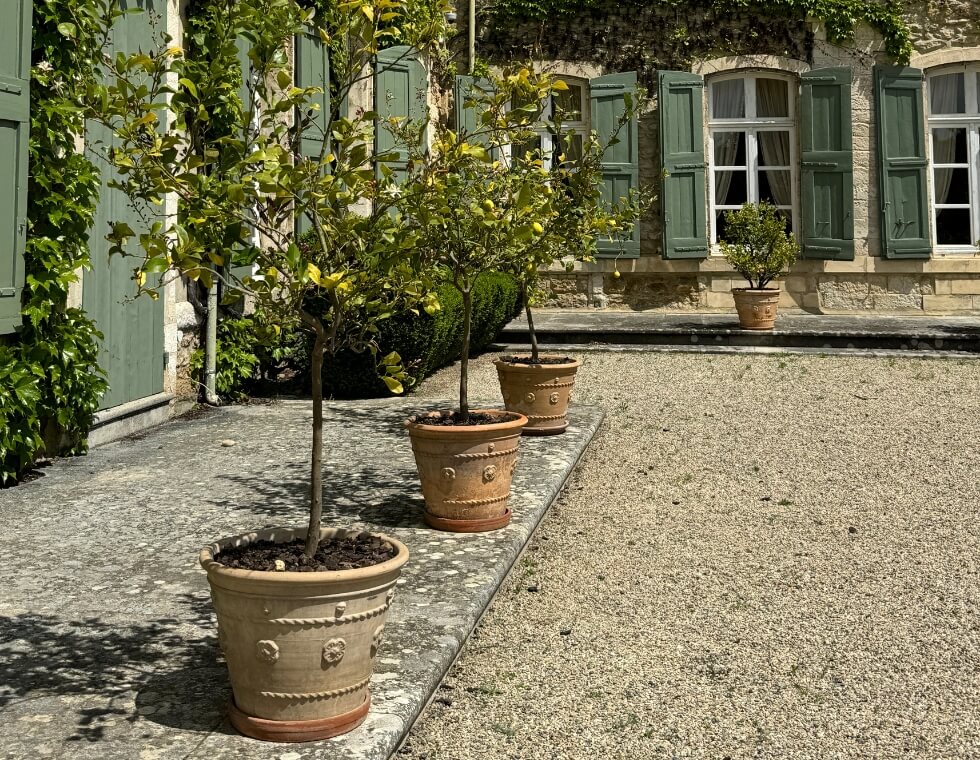 Potted trees line a garden terrace with green shutters and French windows along the estate exterior in Provence, France.