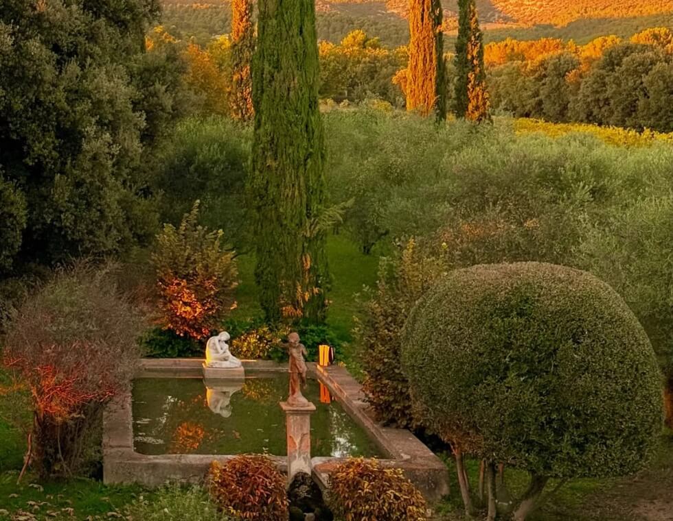 Pond and manicured hedges beside an olive grove at sunset in Provence, France.