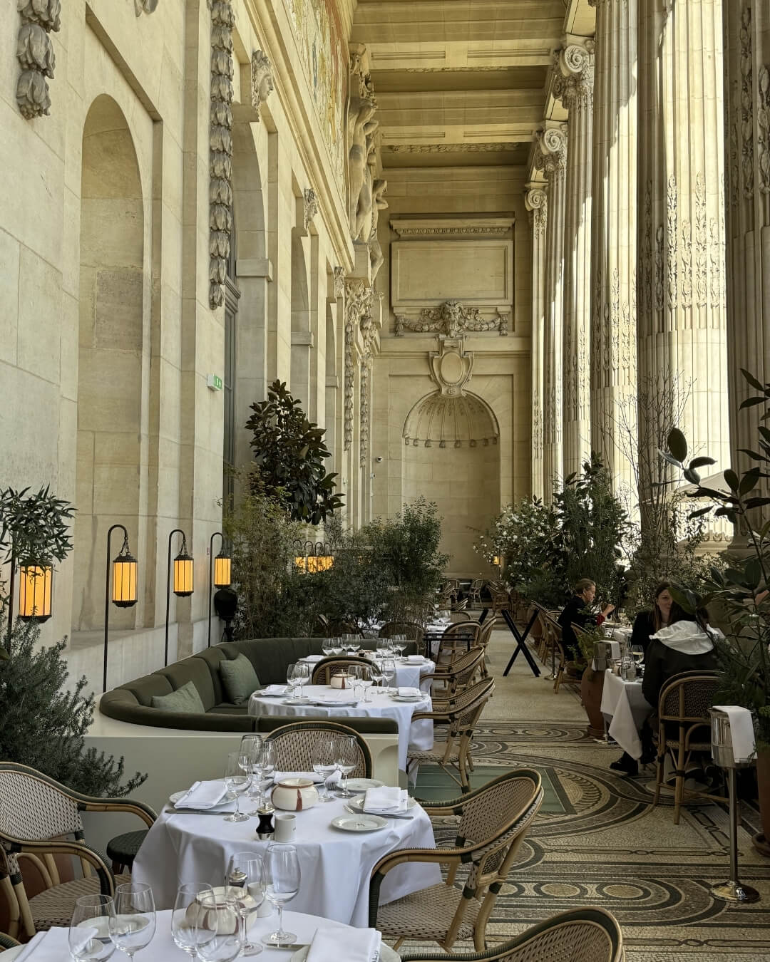 Parisian fine dining terrace with olive trees and ionic columns among tables set with linens.