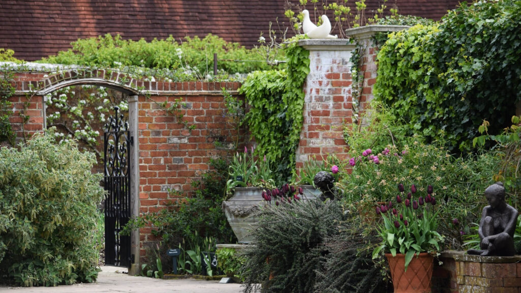Private garden in Sussex, England with potted flowers and lush climbing ivy along the gate.