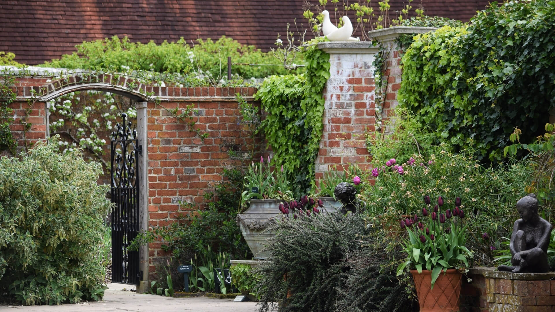 Private garden in Sussex, England with potted flowers and lush climbing ivy along the gate.