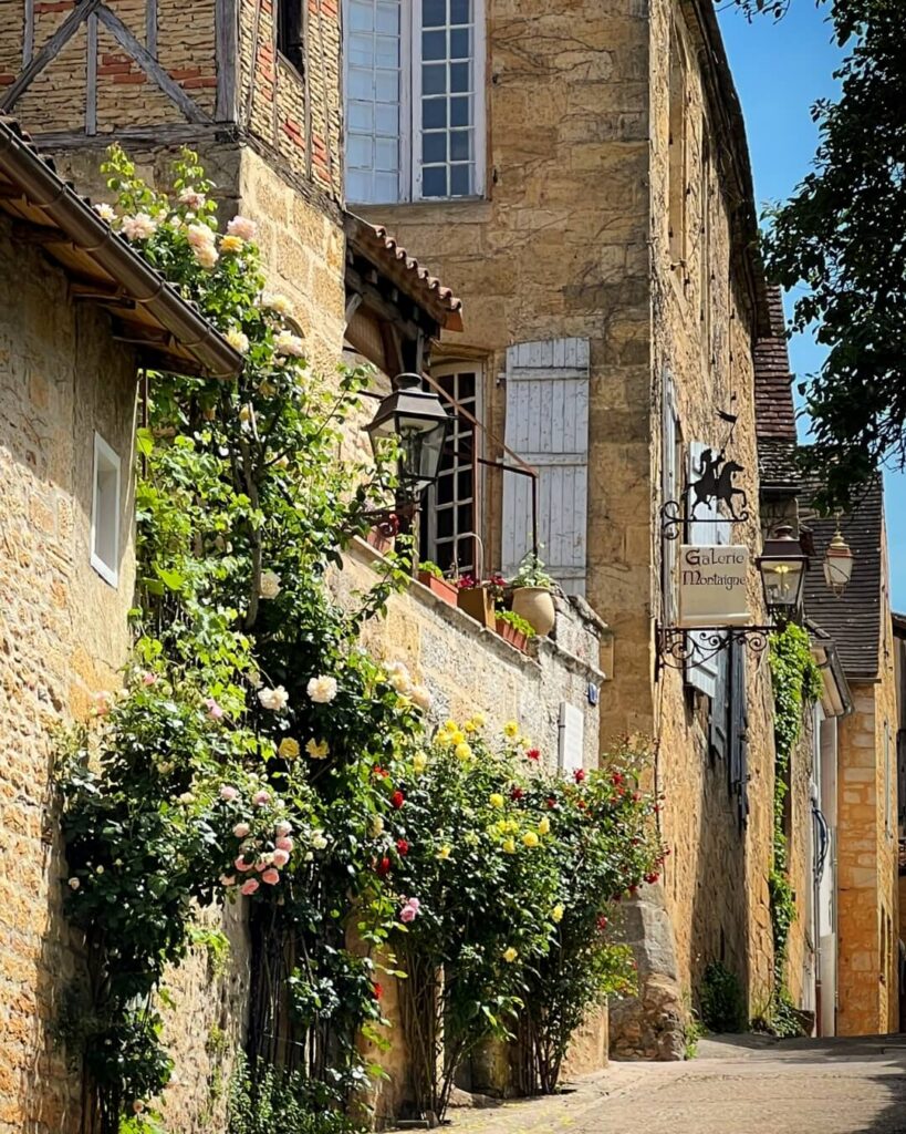 Cobbled village street lined with blooming pink and yellow rose bushes in Dordogne, France.