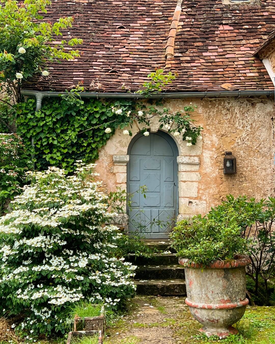 Historic French home and garden with a blue door and blooming white flower bushes in Dordogne, France.