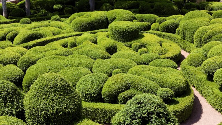 Lush manicured hedges in a Dordogne topiary garden.