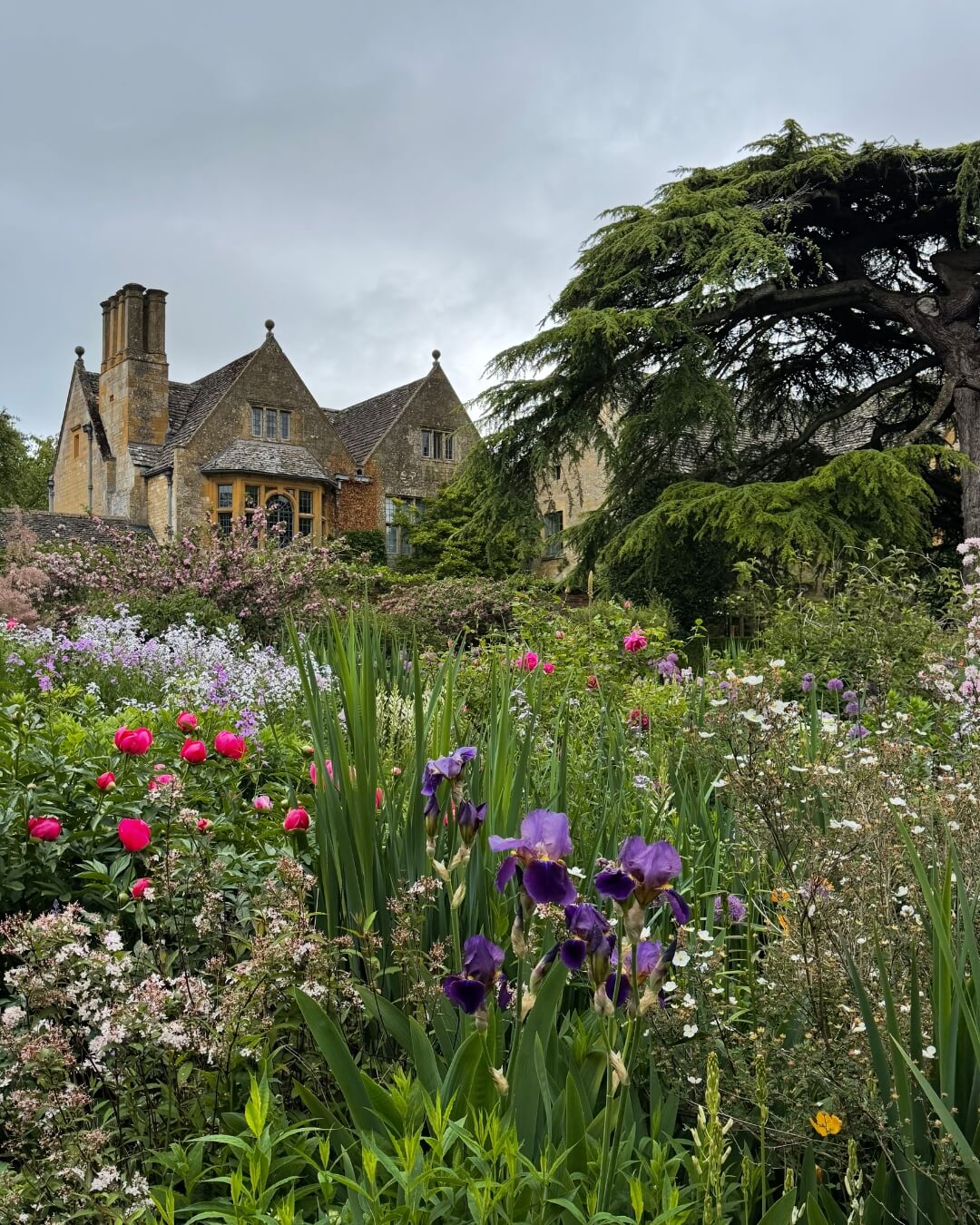 Hidcote garden in Chelsea, England featuring lush flower beds with irises, roses, and wild flowers.