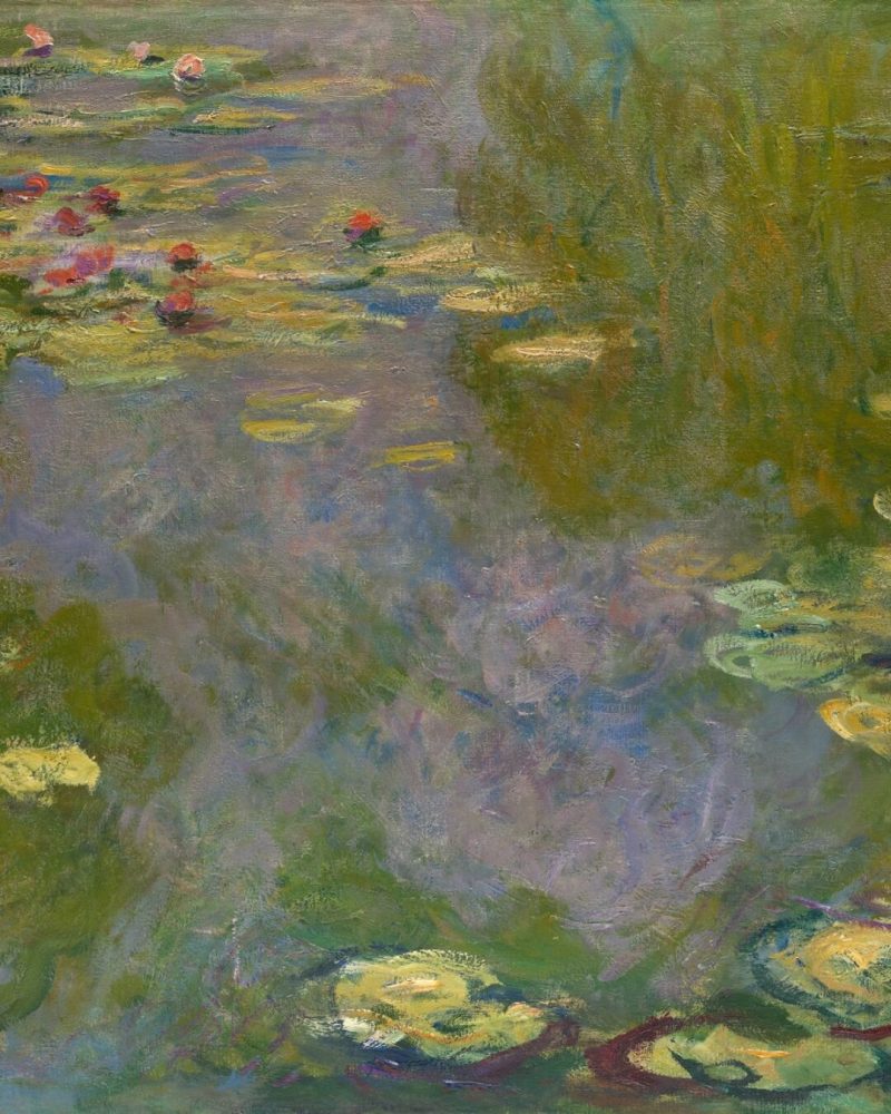 Claude Monet's delicate waterlilies painted in Giverny, France.
