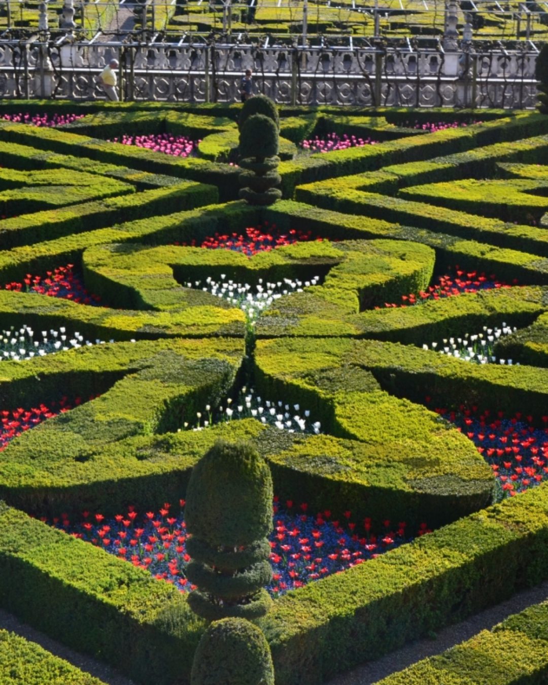 Villandry Gardens in the Loire Valley, France featuring ornate organic hedges and flowerbeds.