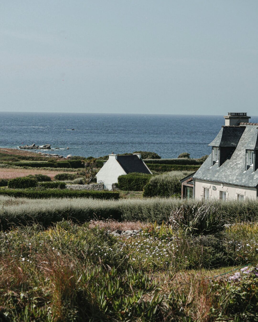 Lush garden view of the Atlantic Ocean in Île de Batz, France.