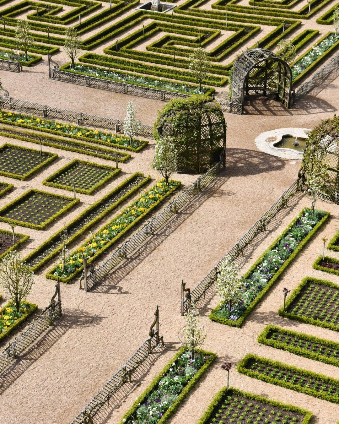 MFCH Travel Journal Kitchen Gardens Villandry 02