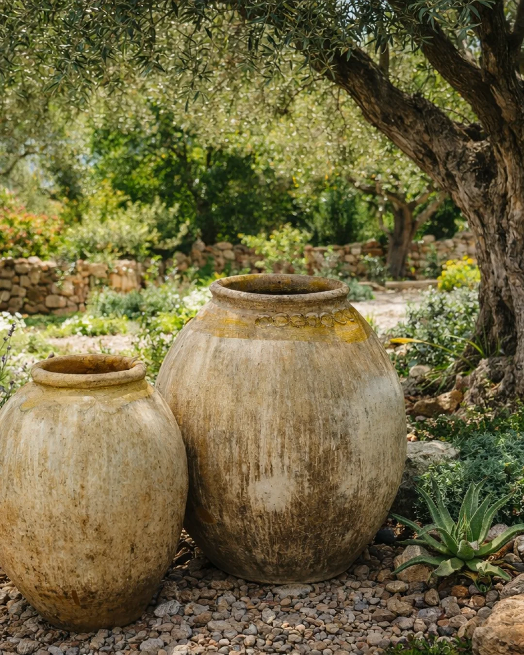 Rustic clay pots in a garden along the French Riviera, displayed beside lavender and an olive tree.