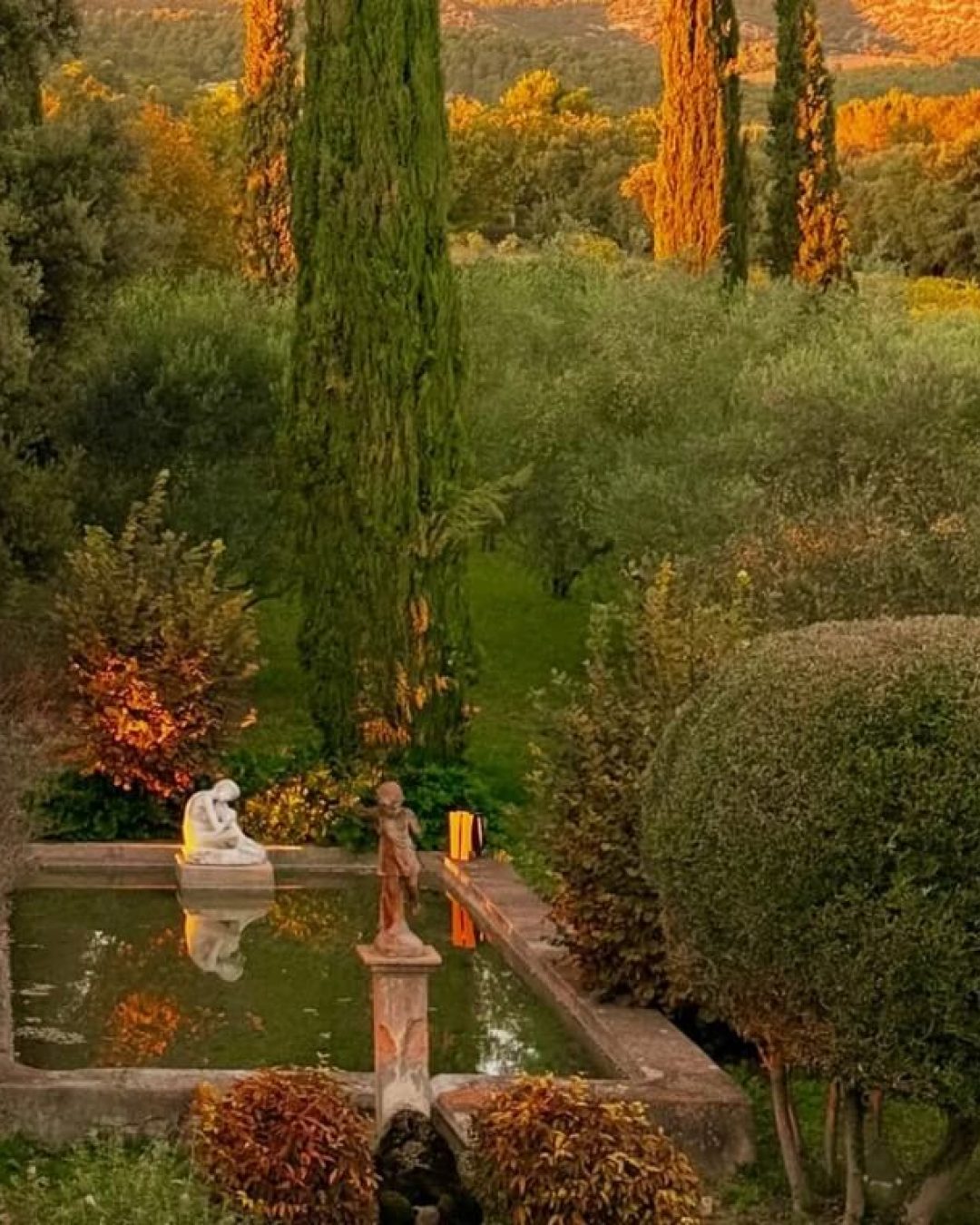 Pond and manicured hedges beside an olive grove at sunset in Provence, France.